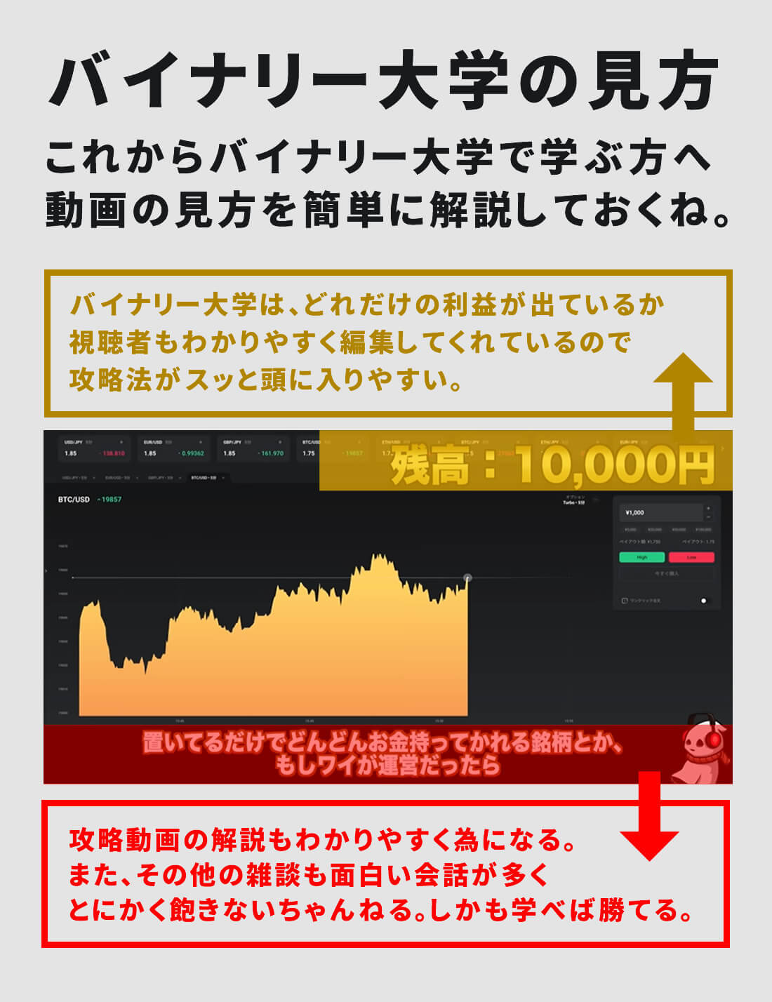 バイナリー大学の見方